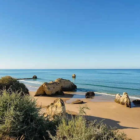 Διαμέρισμα Da Rocha Wonder W/ Balcony By Lovelystay